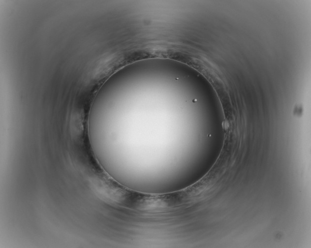 X0000091980702200709061355