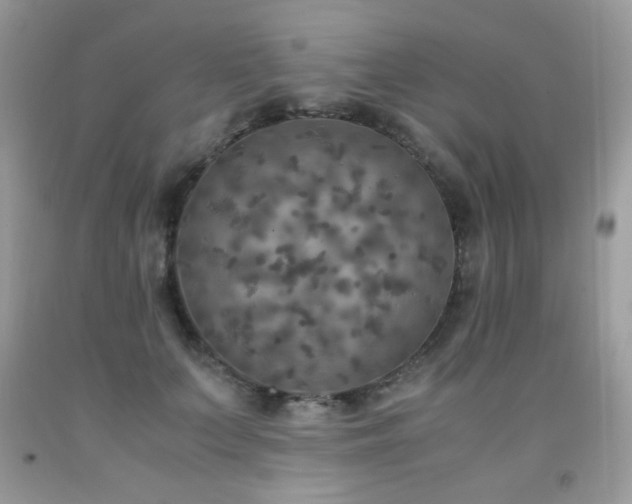 X0000091980703200709061355