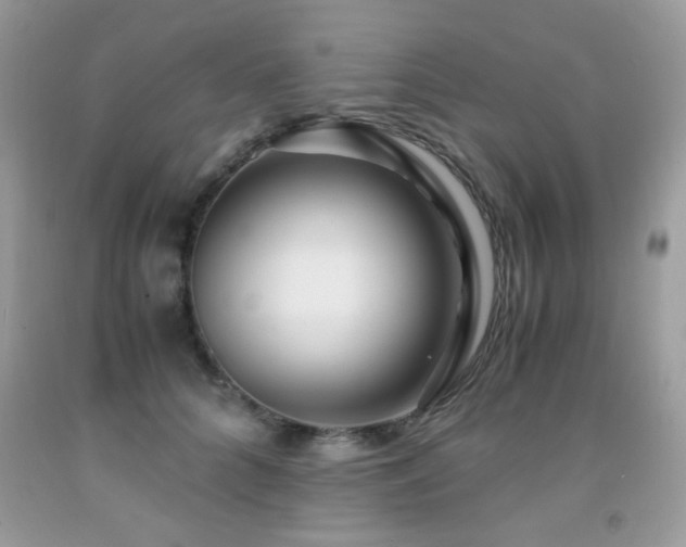 X0000091980704200709061355
