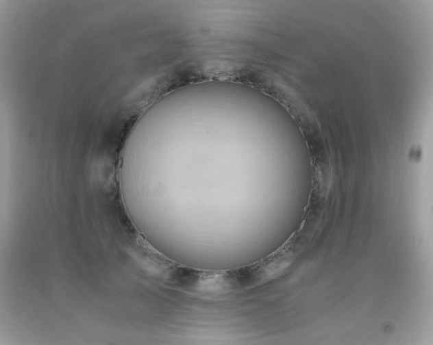 X0000091980705200709061355