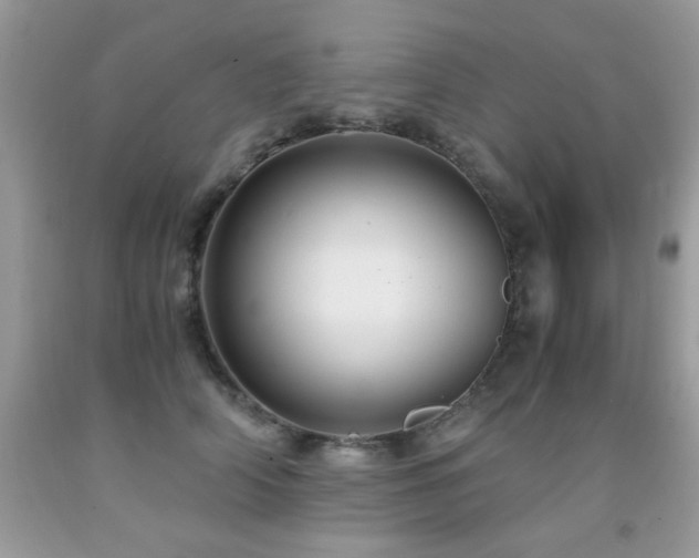 X0000091980706200709061355