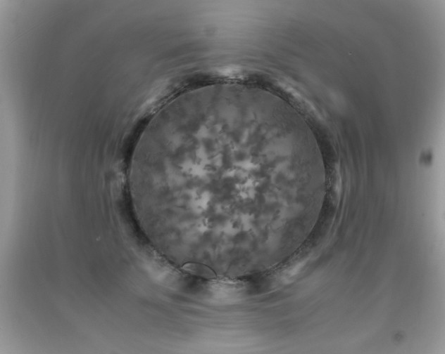 X0000091980707200709061355
