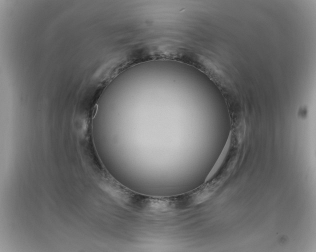 X0000091980709200709061355