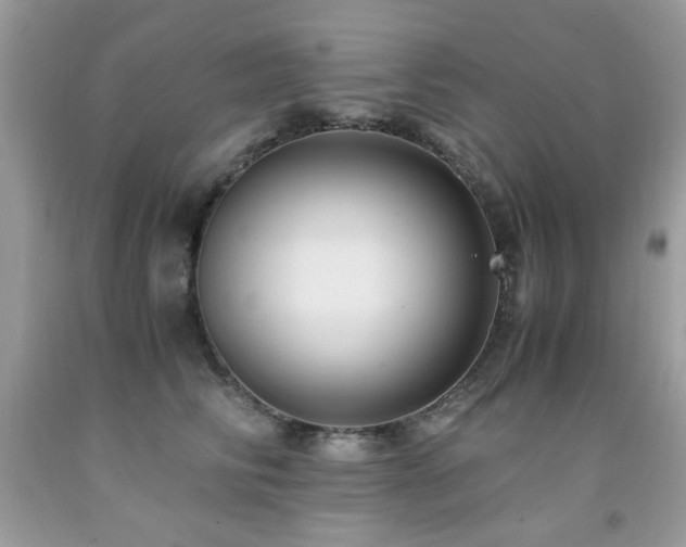 X0000091980710200709061355
