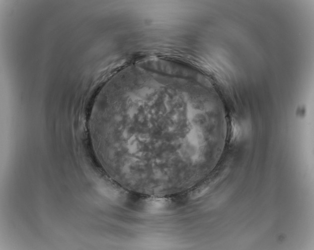 X0000091980711200709061355
