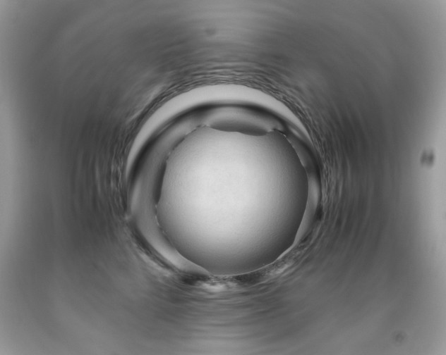X0000091980712200709061355