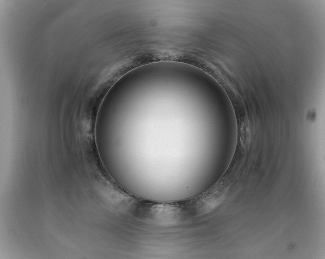 X0000091980714200709061355