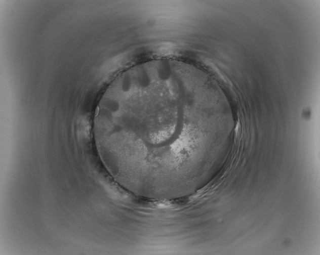 X0000091980715200709061355