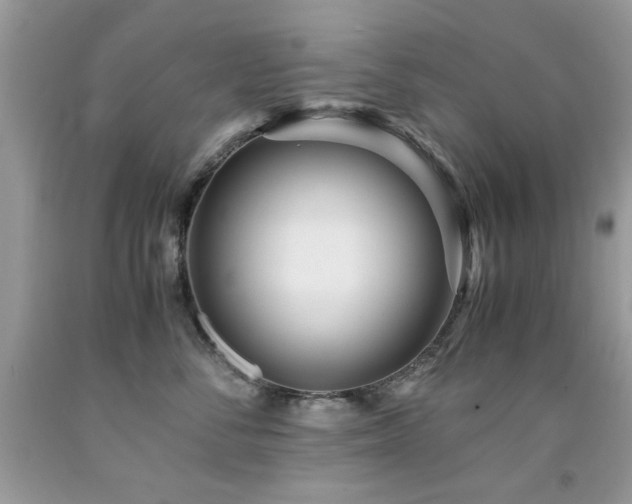 X0000091980716200709061355