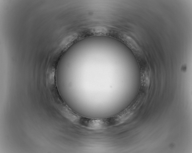 X0000091980717200709061355