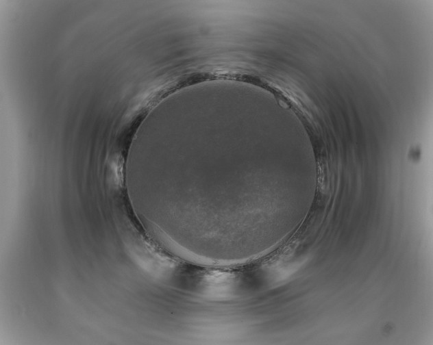 X0000091980718200709061355