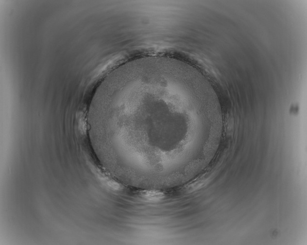 X0000091980719200709061354