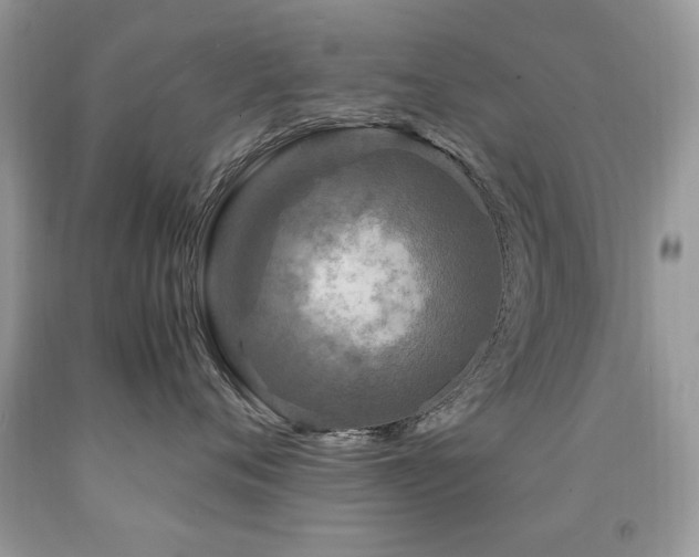 X0000091980720200709061354