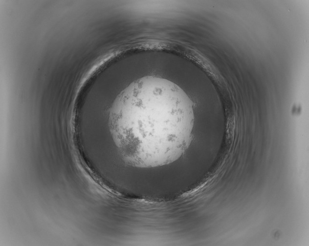 X0000091980722200709061354