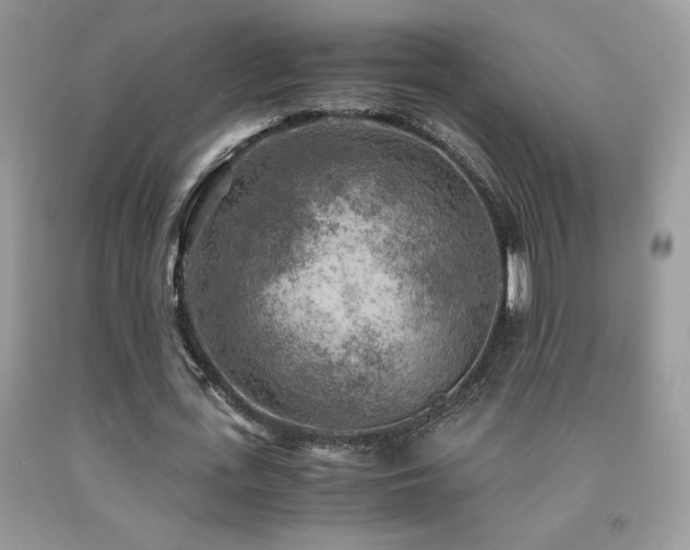 X0000091980723200709061354