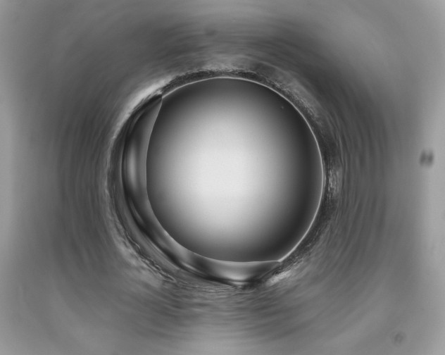 X0000091980724200709061354