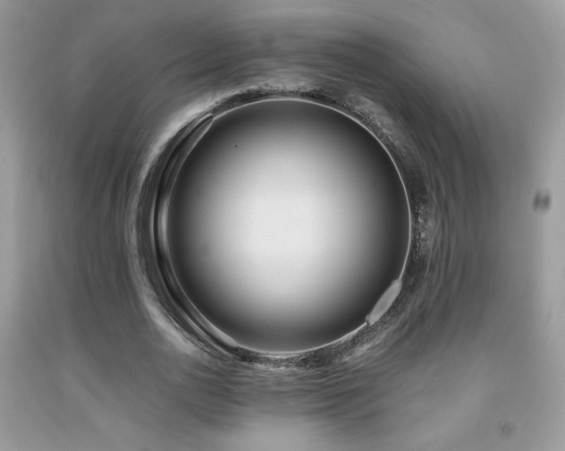 X0000091980726200709061354