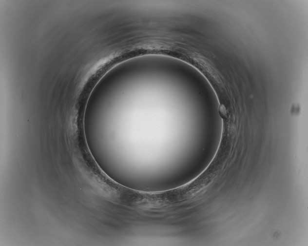 X0000091980727200709061354