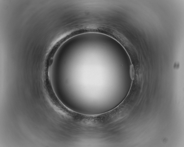 X0000091980728200709061354