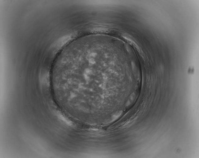 X0000091980729200709061354