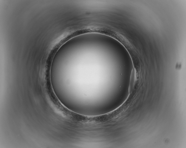 X0000091980730200709061354