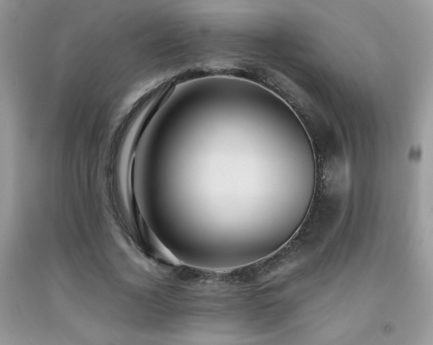 X0000091980732200709061354