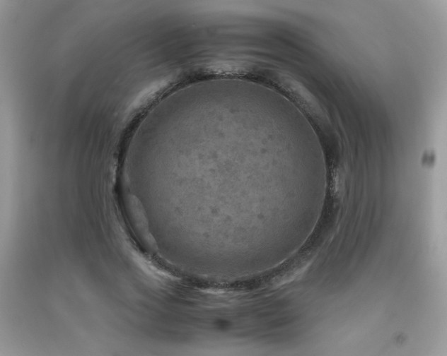 X0000091980733200709061354