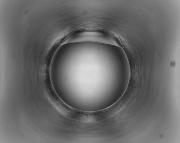 X0000091980735200709061354