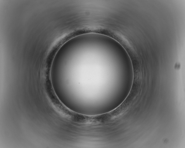 X0000091980736200709061354