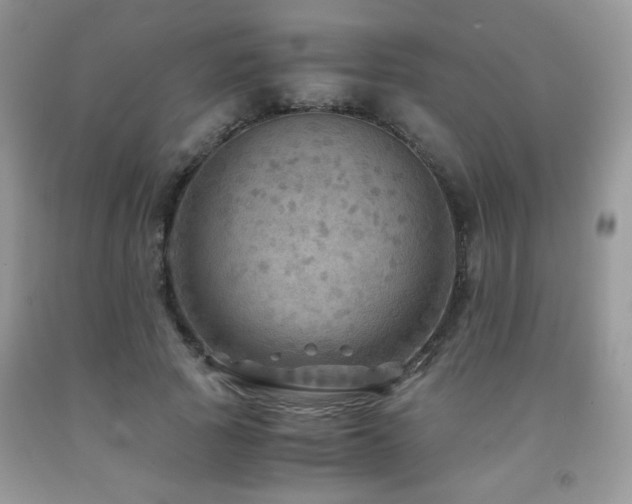 X0000091980737200709061354