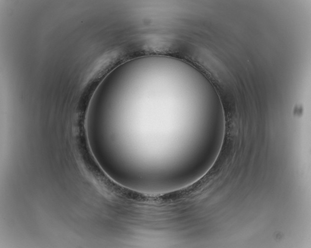 X0000091980738200709061354