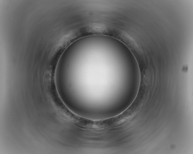 X0000091980739200709061354