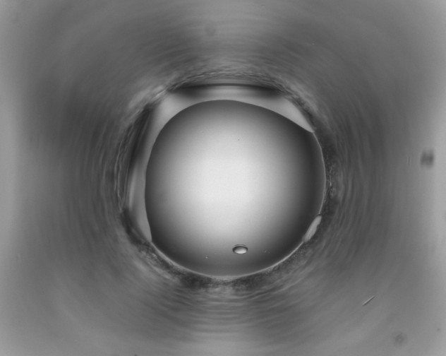 X0000091980740200709061354