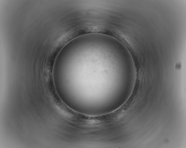X0000091980741200709061354