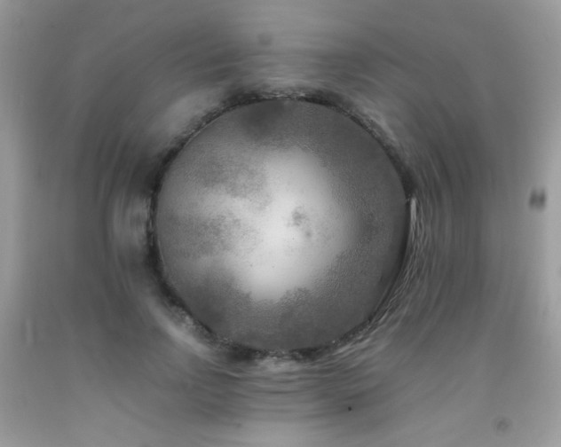 X0000091980742200709061354