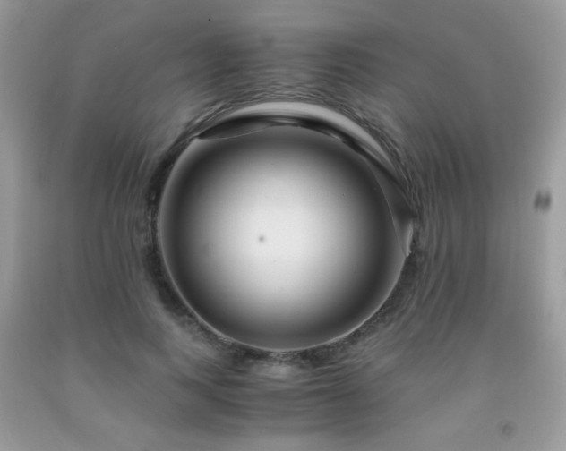 X0000091980743200709061354