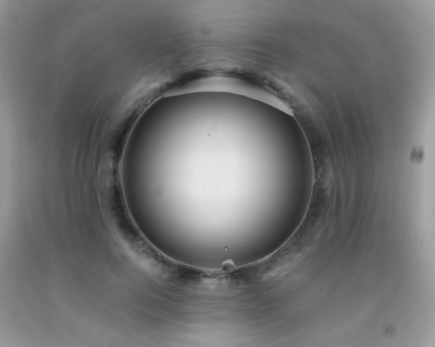 X0000091980744200709061354