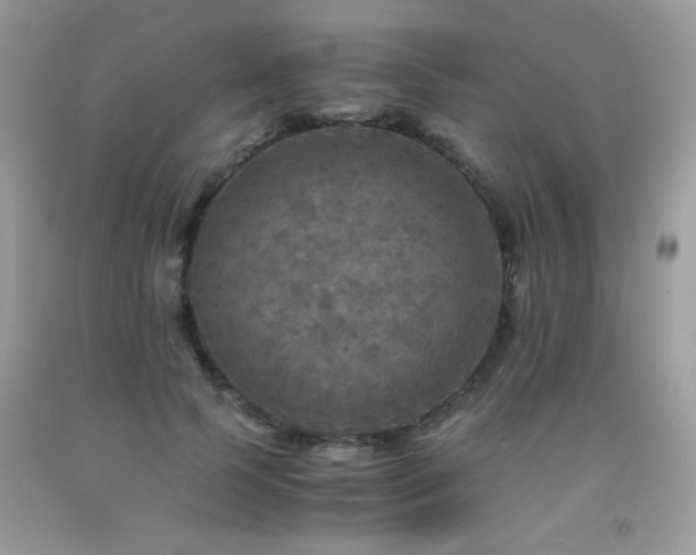 X0000091980745200709061354