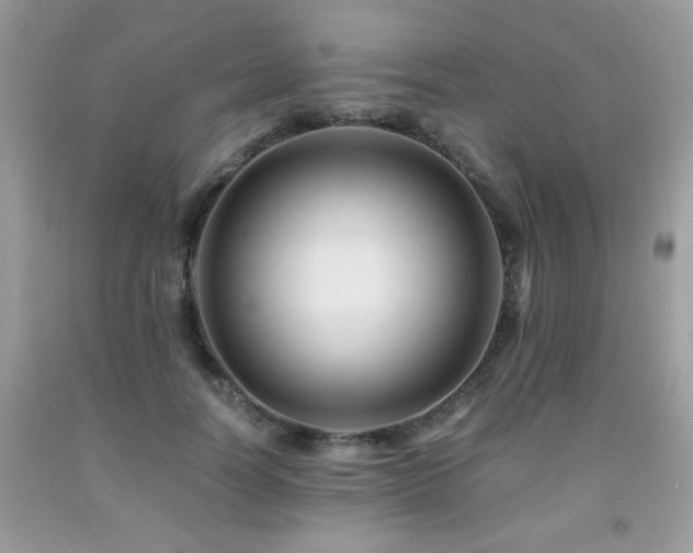 X0000091980746200709061354