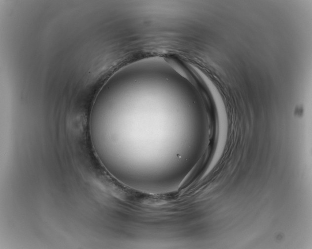 X0000091980747200709061354