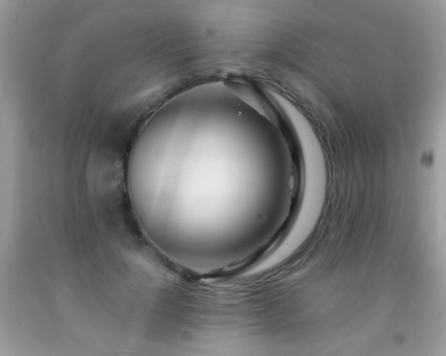X0000091980748200709061354