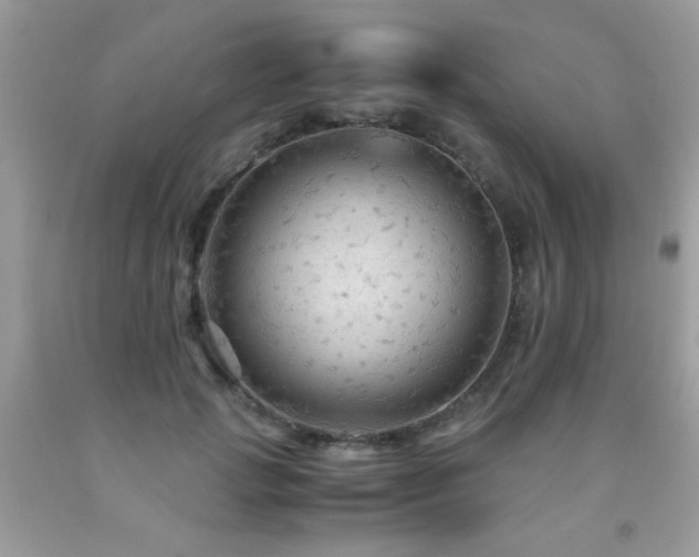 X0000091980749200709061354