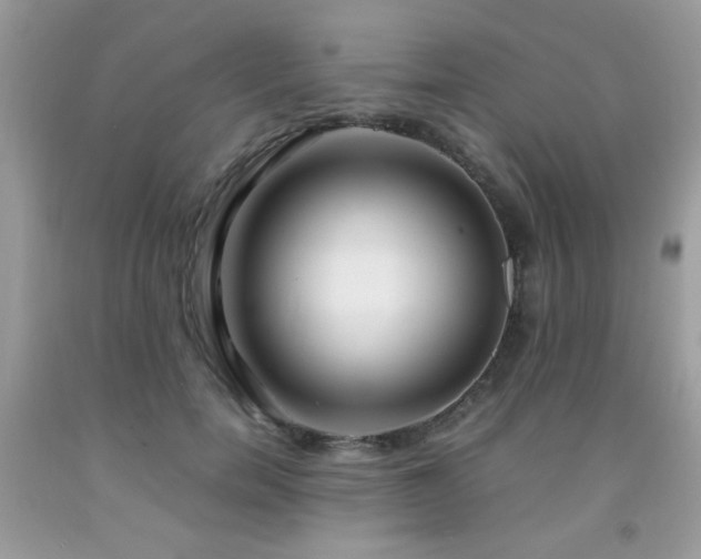 X0000091980750200709061354