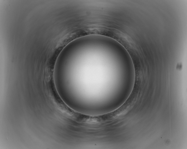 X0000091980751200709061354