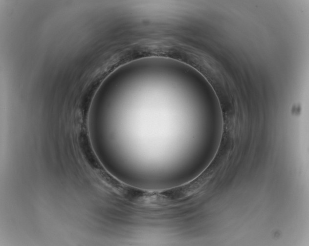 X0000091980752200709061354