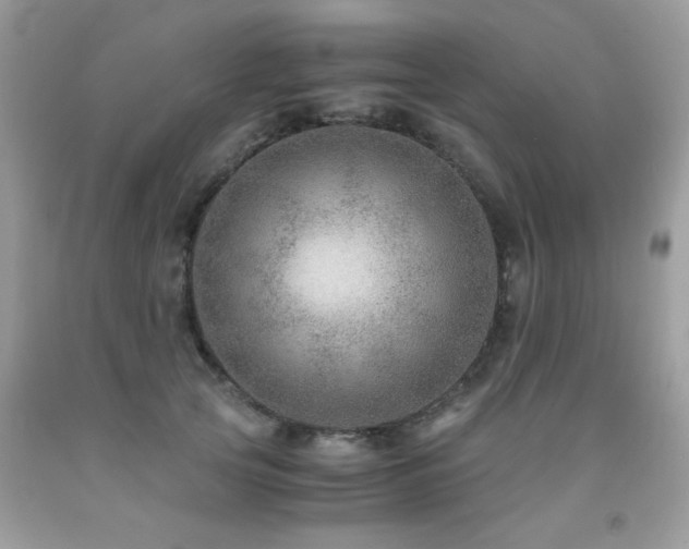 X0000091980753200709061354