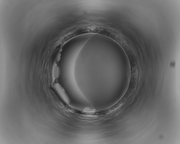 X0000091980754200709061354