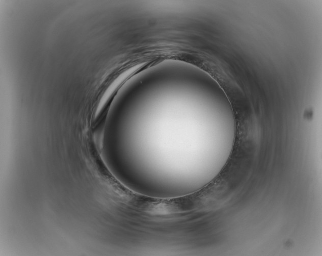 X0000091980755200709061354