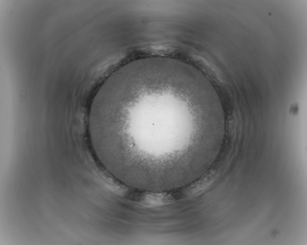 X0000091980757200709061354