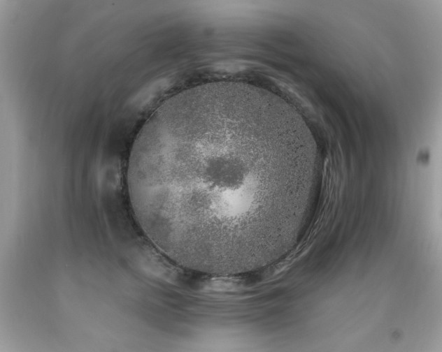 X0000091980758200709061354